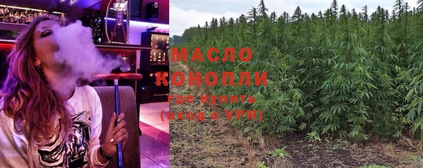 сатива Аркадак
