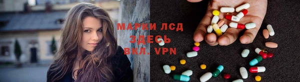 сатива Аркадак