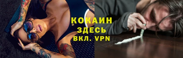 сатива Аркадак